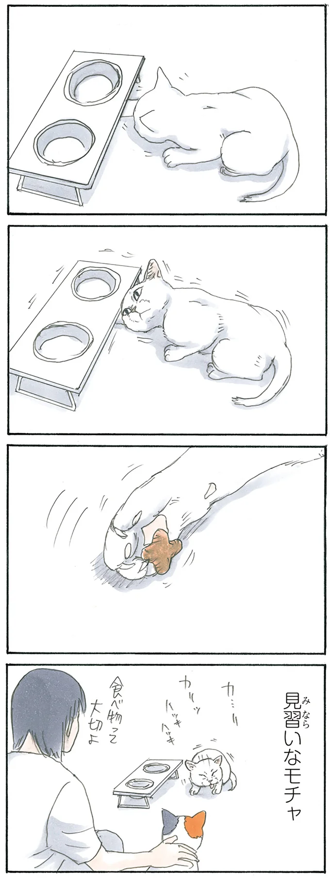 『拾い猫のモチャ1～8』 15896640.webp