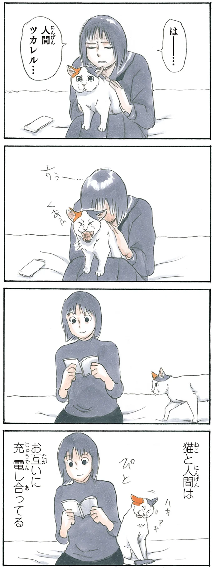 『拾い猫のモチャ1～8』 15896765.webp