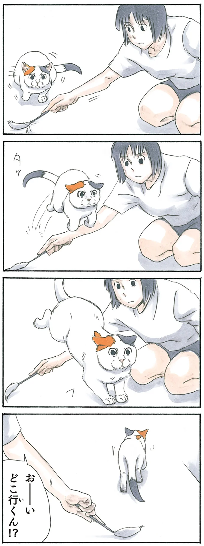 『拾い猫のモチャ1～8』 15896766.webp