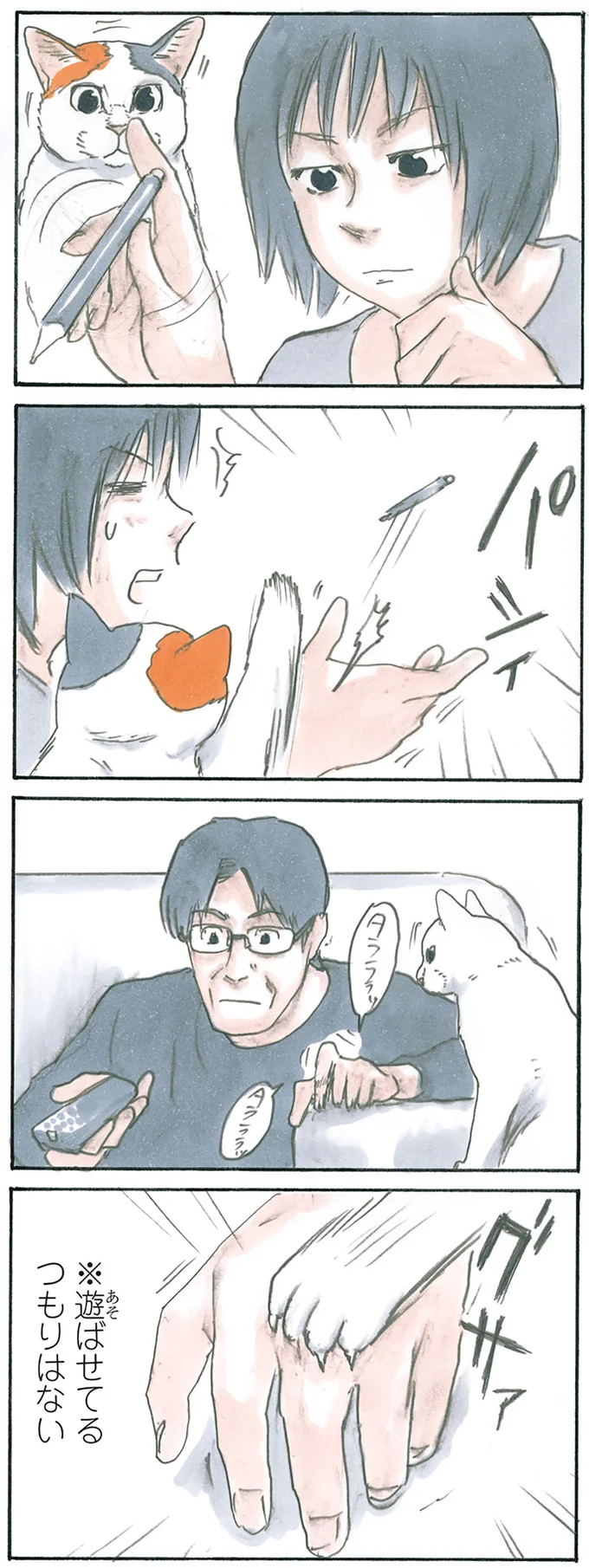 『拾い猫のモチャ1～8』 15896800.webp