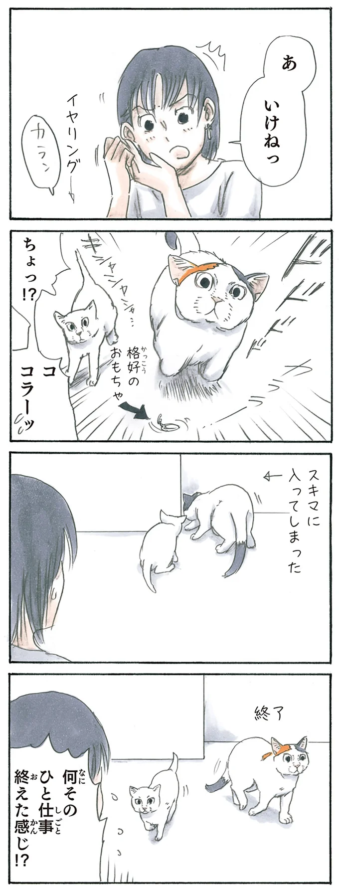 『拾い猫のモチャ1～8』 15896805.webp