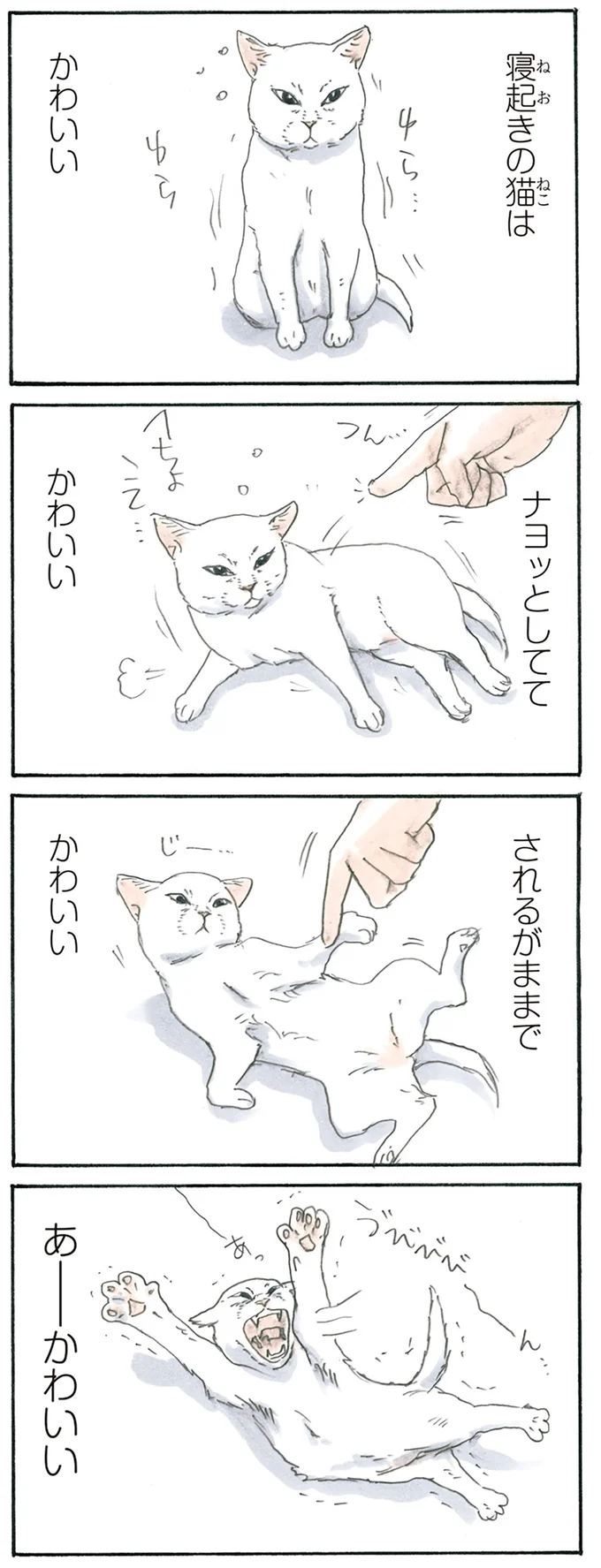『拾い猫のモチャ1～8』 15896806.webp