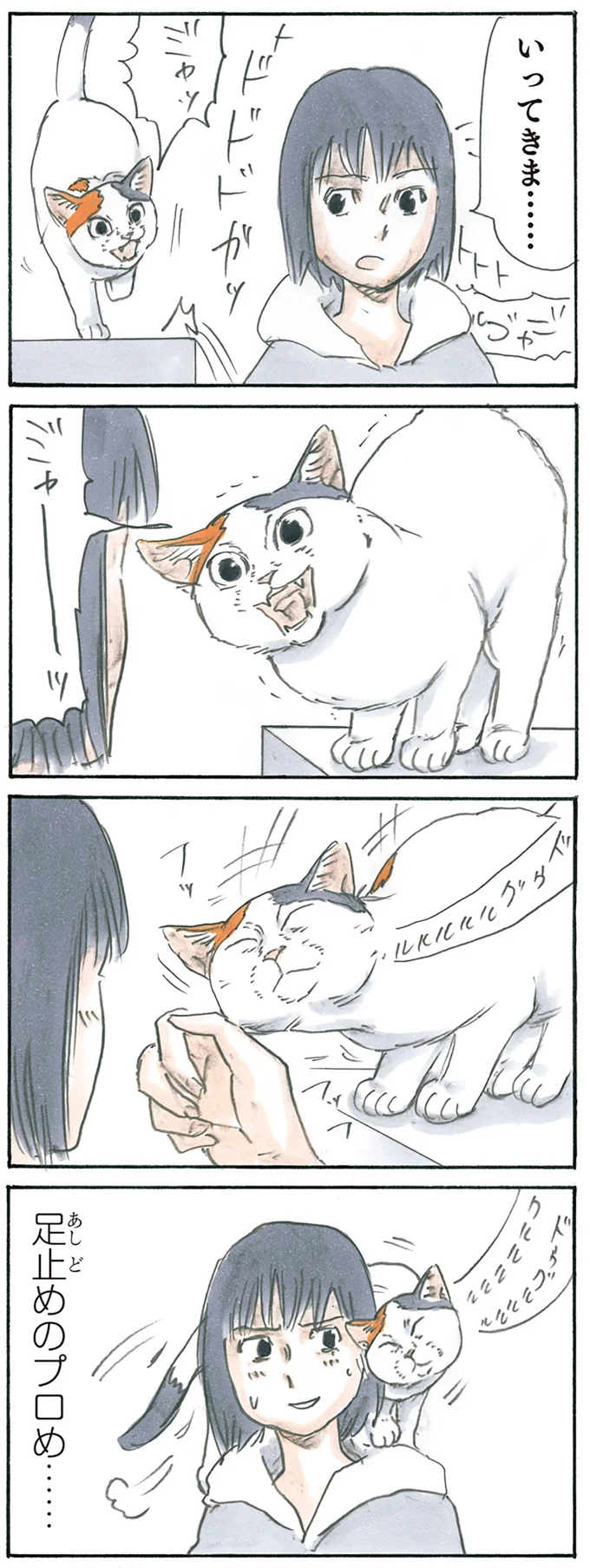 『拾い猫のモチャ1～8』 15896904.webp