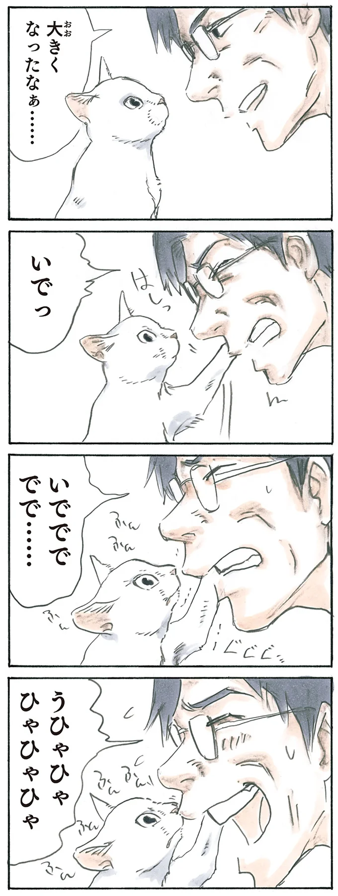 『拾い猫のモチャ1～8』 15896905.webp