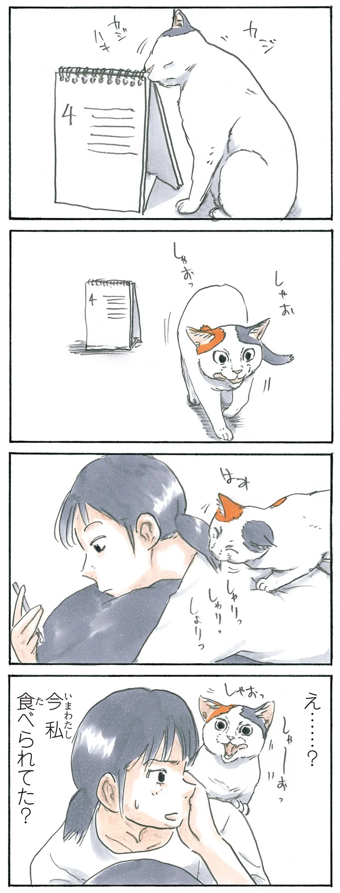 『拾い猫のモチャ1～8』 15896906.webp