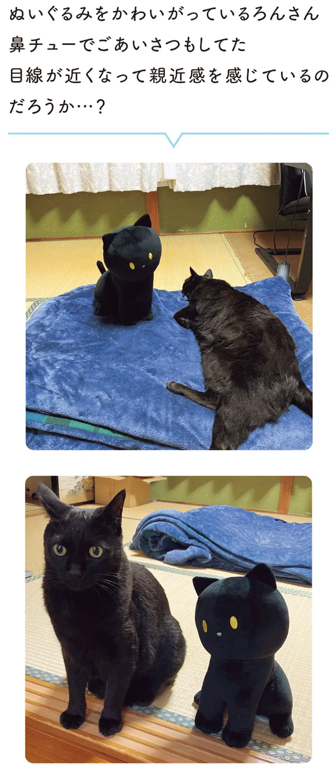 『黒猫ろんと暮らしたら』4～7 15899363.webp