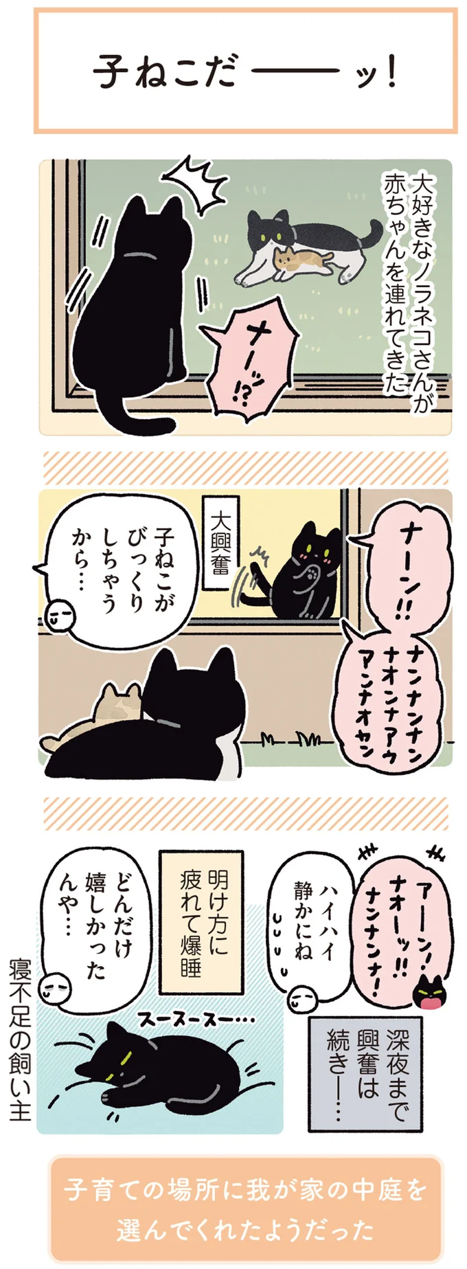 『黒猫ろんと暮らしたら』4～7 15899391.webp