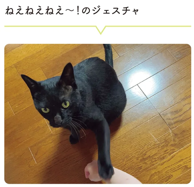 『黒猫ろんと暮らしたら』4～7 15899400.webp