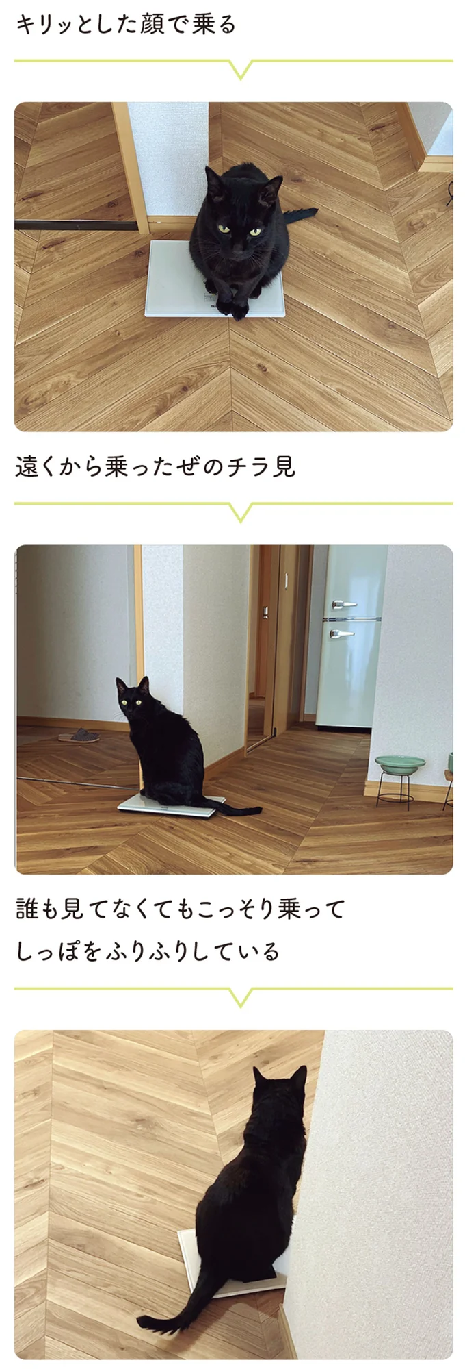 『黒猫ろんと暮らしたら』4～7 15899413.webp