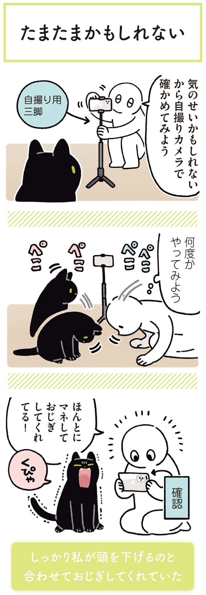 『黒猫ろんと暮らしたら』4～7 15899418.webp