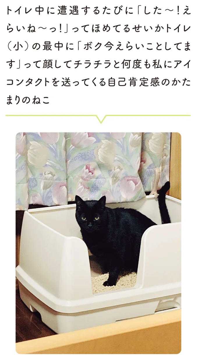 『黒猫ろんと暮らしたら』4～7 15899431.webp