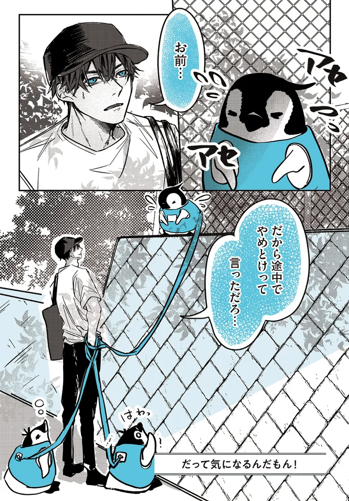 『ペンギン喫茶は今日も青天』1～3 15908232.webp