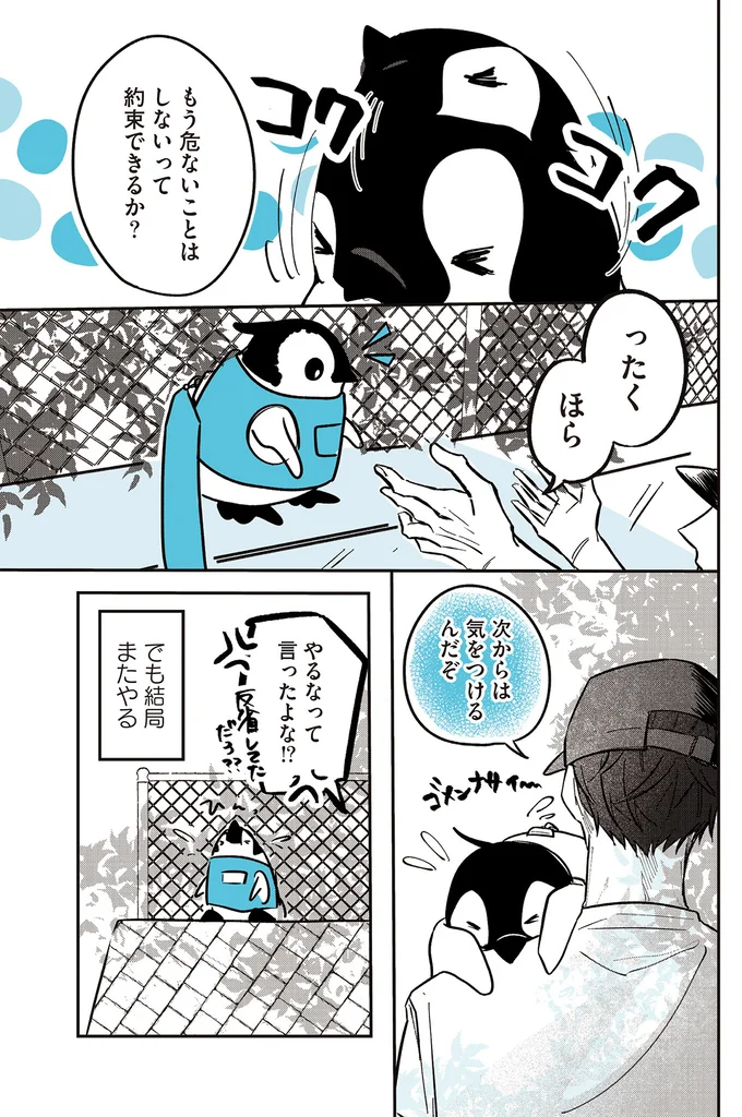 『ペンギン喫茶は今日も青天』1～3 15908236.webp