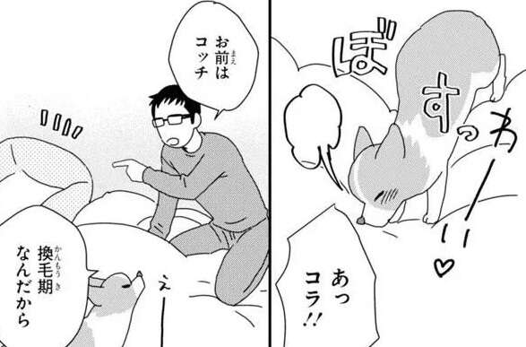 換毛期のワンコと別の布団で寝たけれど。すぐ横でブルブル震える気配が...／あしょんでよッ7