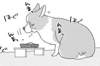 ごはんがおいしくて喜ぶ愛犬コーギー。でもそれはいらないっ、お気持ちだけで！／あしょんでよッ7