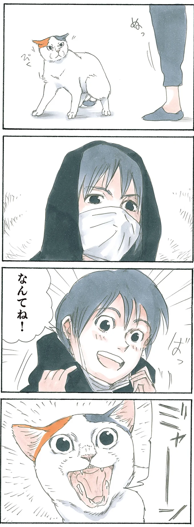 『拾い猫のモチャ1～8』 15927646.webp