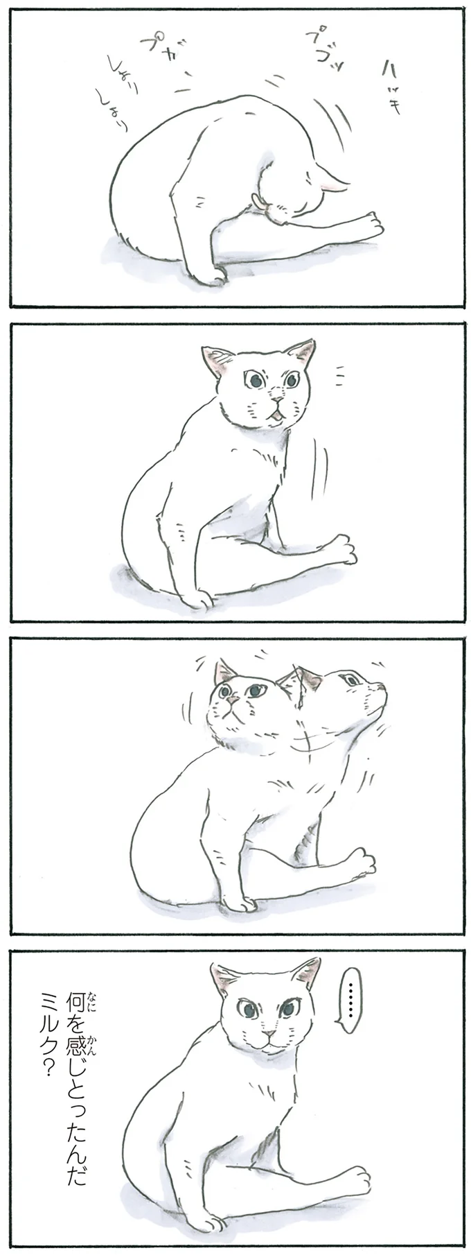 『拾い猫のモチャ1～8』 15927647.webp