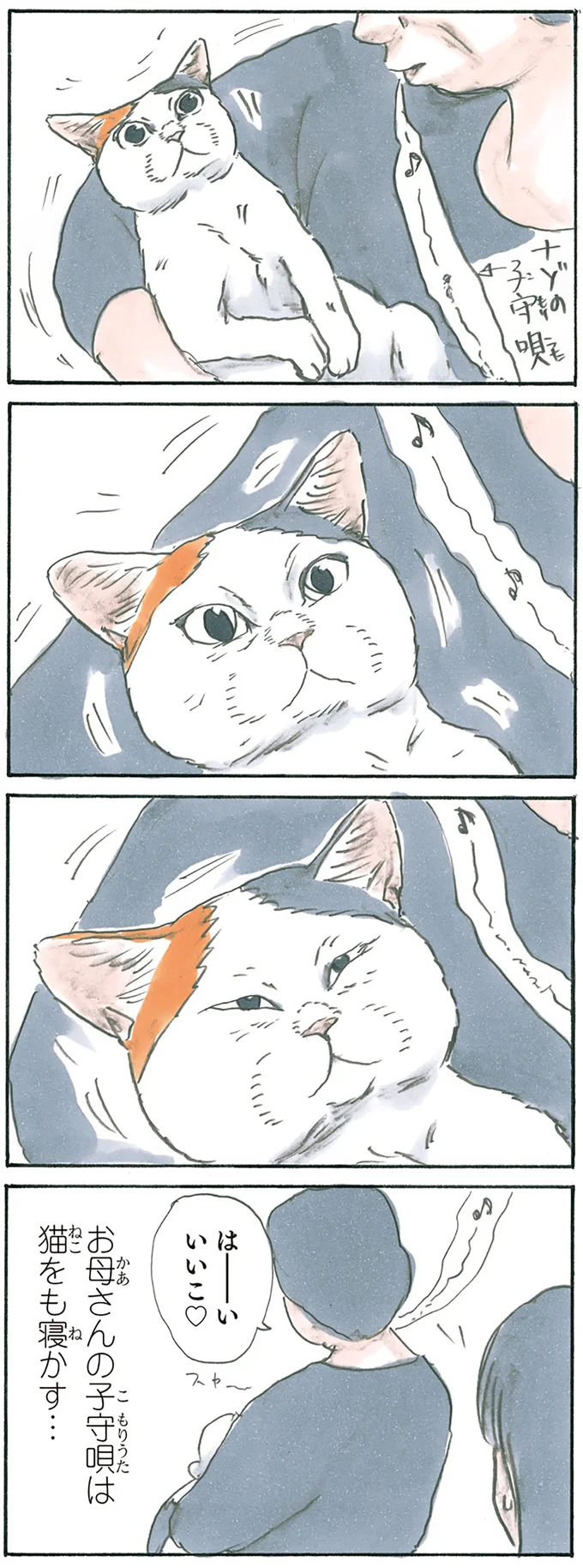 『拾い猫のモチャ1～8』 15927648.webp