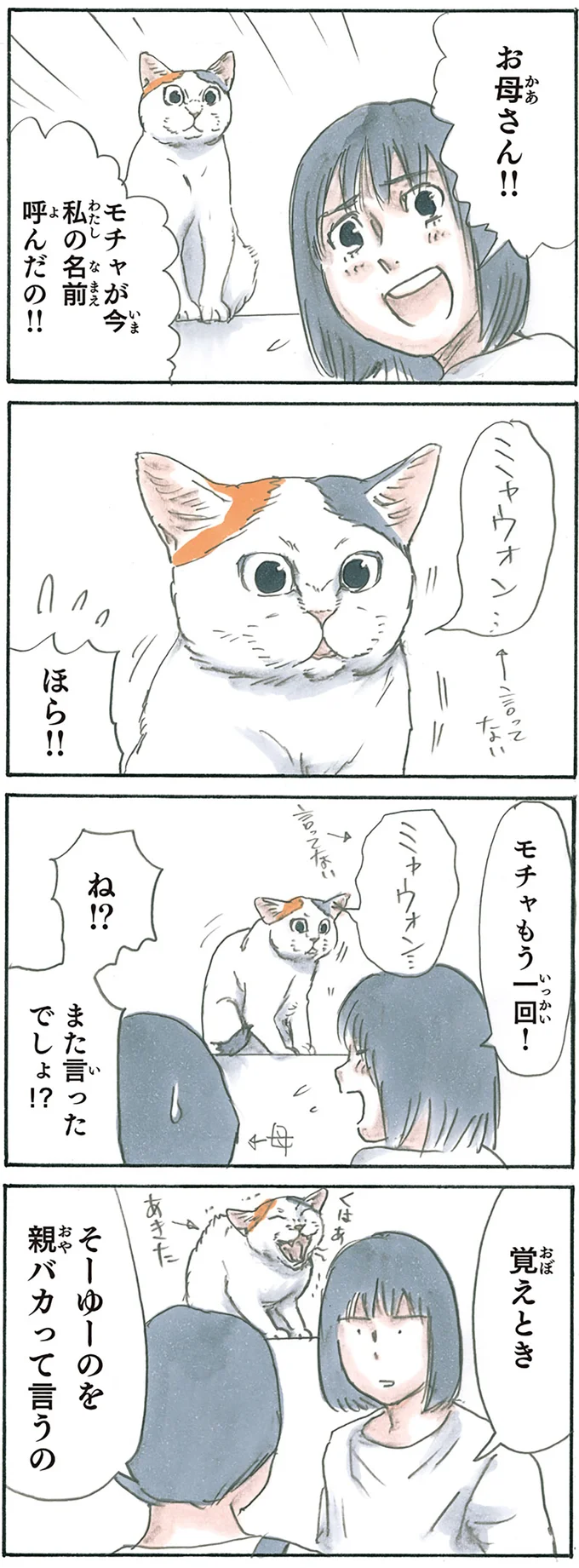 『拾い猫のモチャ1～8』 15927675.webp