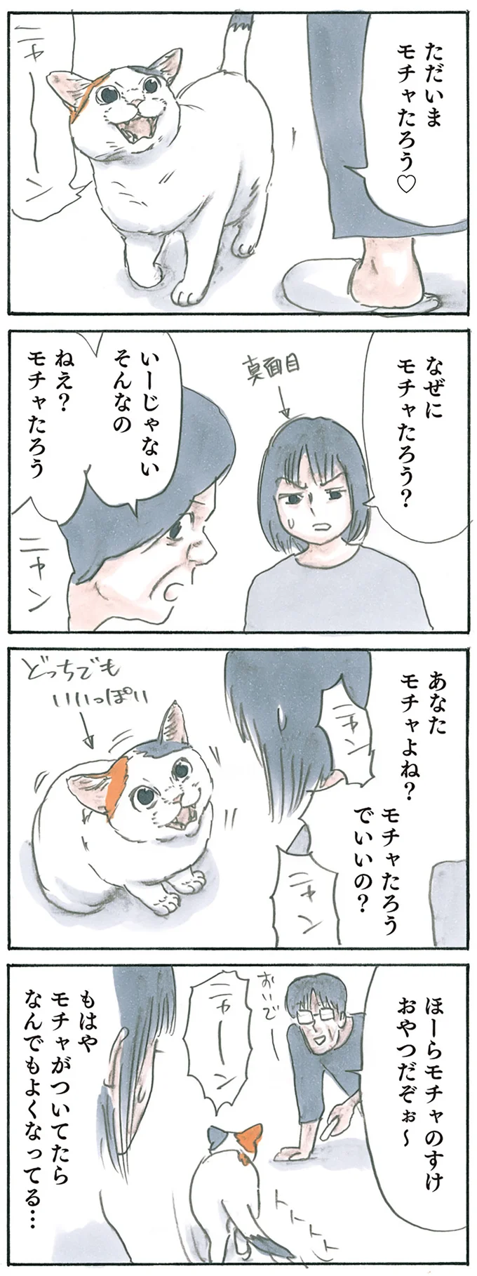 『拾い猫のモチャ1～8』 15927745.webp