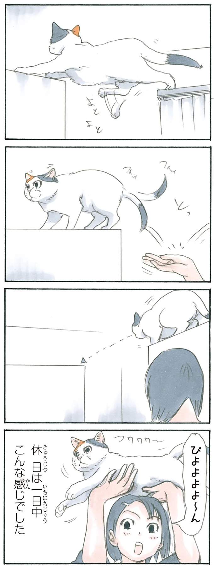 『拾い猫のモチャ1～8』 15928307.webp