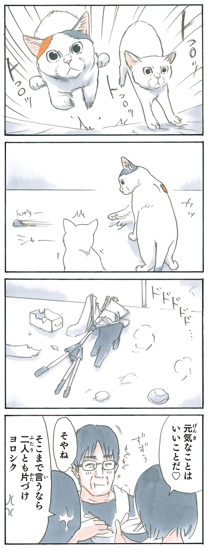 『拾い猫のモチャ1～8』 15928308.webp