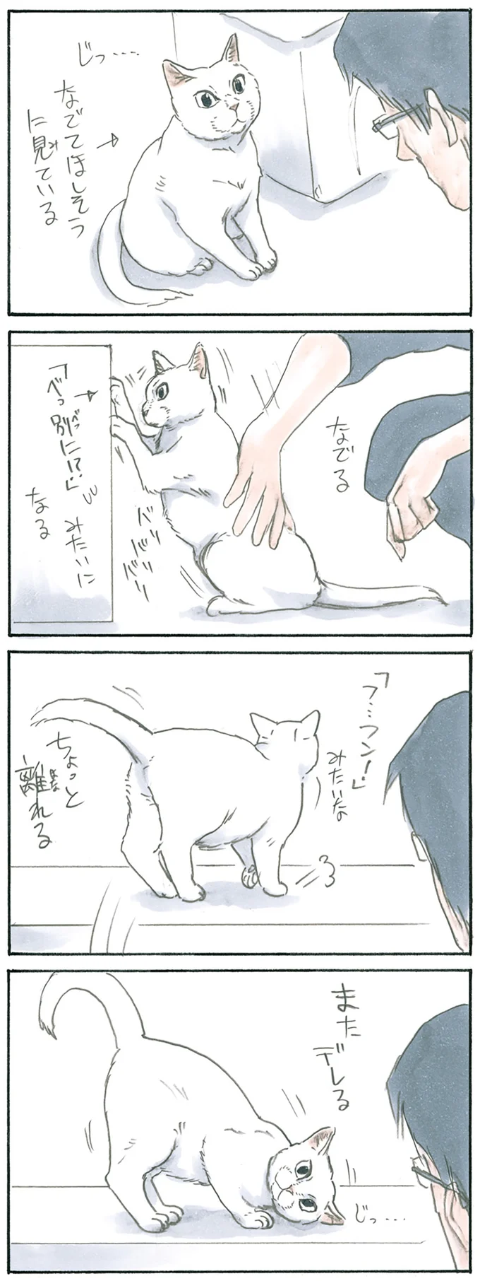 『拾い猫のモチャ1～8』 15928331.webp