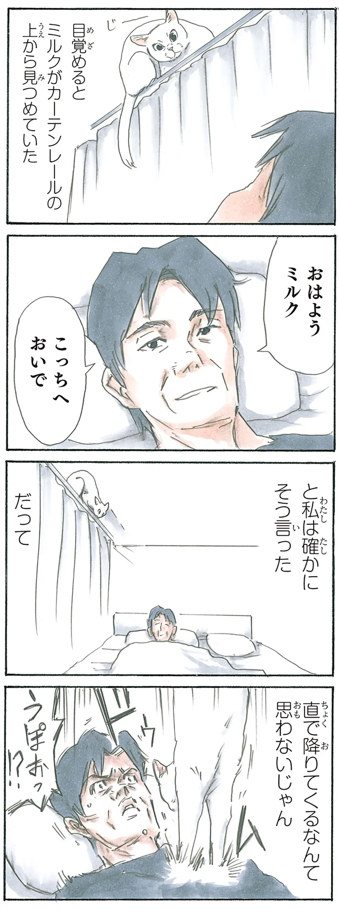 『拾い猫のモチャ1～8』 15928344.webp