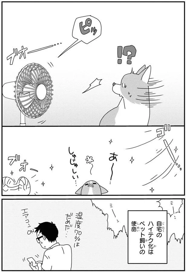 留守番中の愛犬コーギー。見守りカメラから聞こえる飼い主の声に愛犬が!?／あしょんでよッ8 15930923.webp