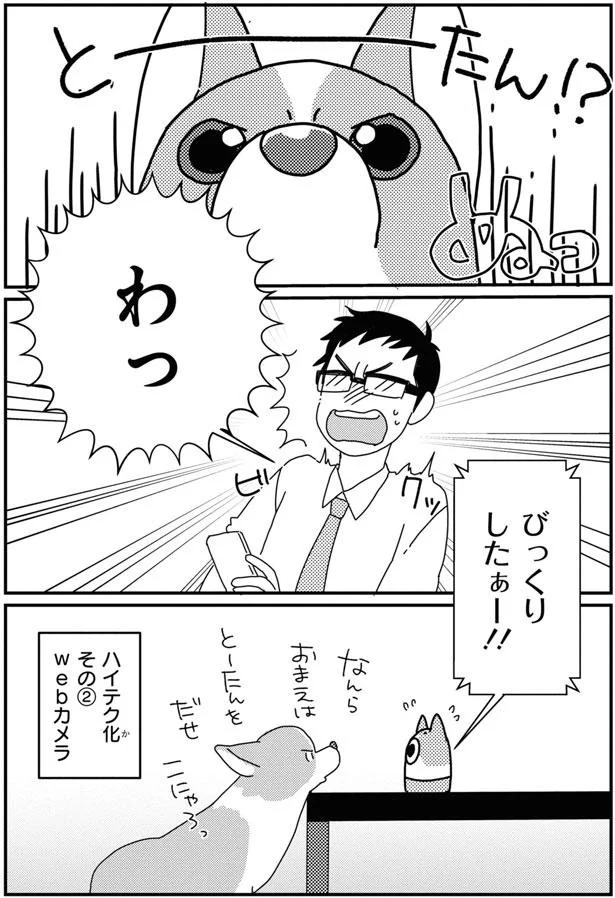 留守番中の愛犬コーギー。見守りカメラから聞こえる飼い主の声に愛犬が!?／あしょんでよッ8 15930925.webp