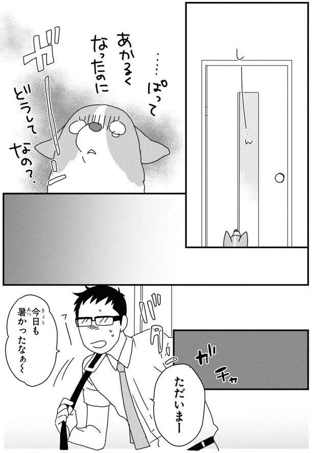 留守番中の愛犬コーギー。見守りカメラから聞こえる飼い主の声に愛犬が!?／あしょんでよッ8 15930927.webp