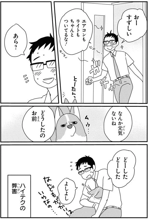 留守番中の愛犬コーギー。見守りカメラから聞こえる飼い主の声に愛犬が!?／あしょんでよッ8 15930928.webp