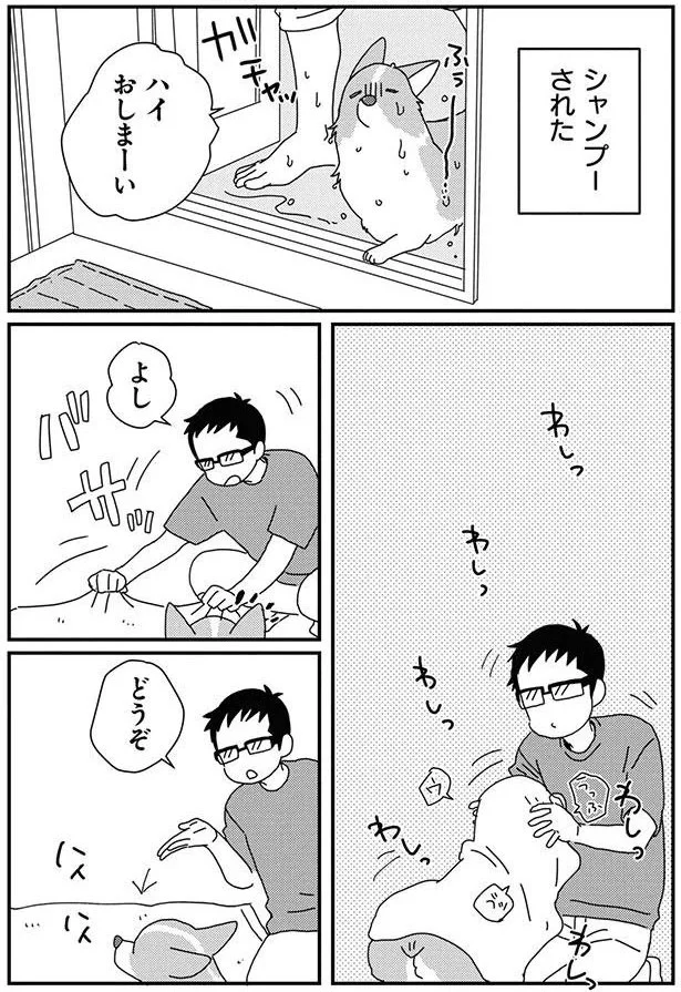 『あしょんでよッ8～10』 15932327.webp