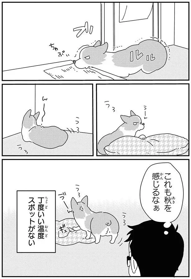 『あしょんでよッ8～10』 15932345.webp