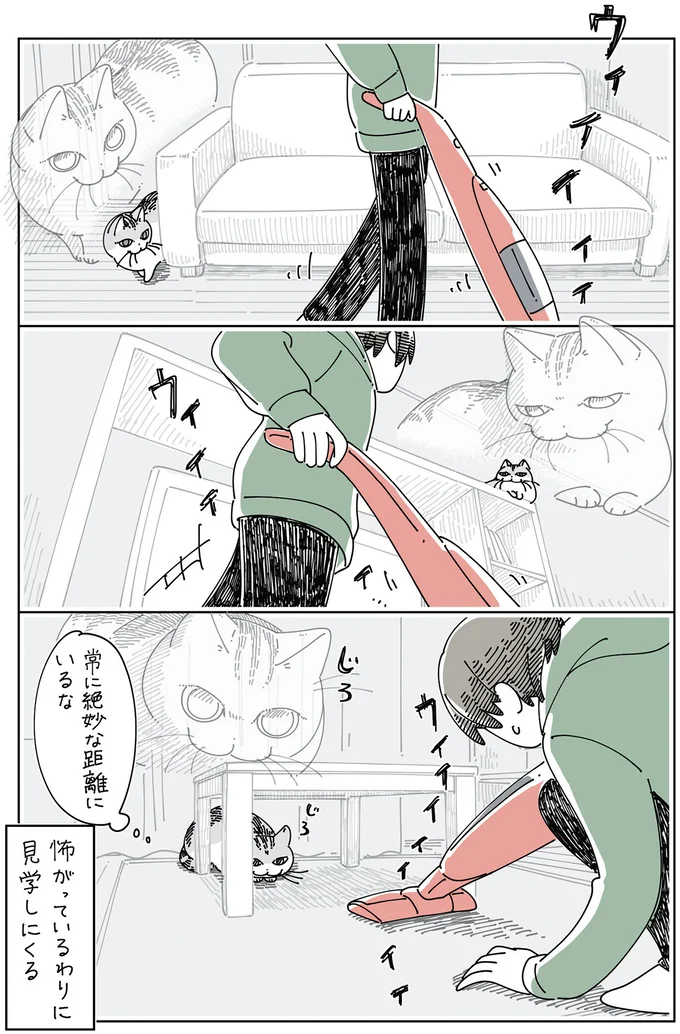 『夜は猫といっしょ』4～6 15964314.webp