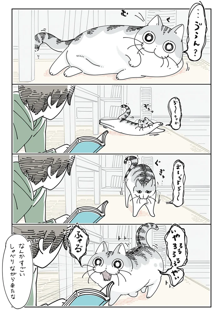 『夜は猫といっしょ』4～6 15965309.webp