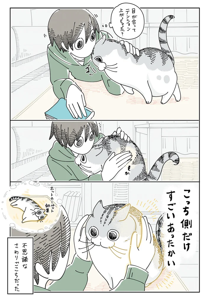 『夜は猫といっしょ』4～6 15965310.webp