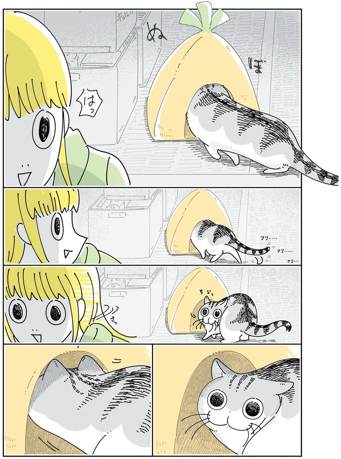 『夜は猫といっしょ』4～6 15965693.webp