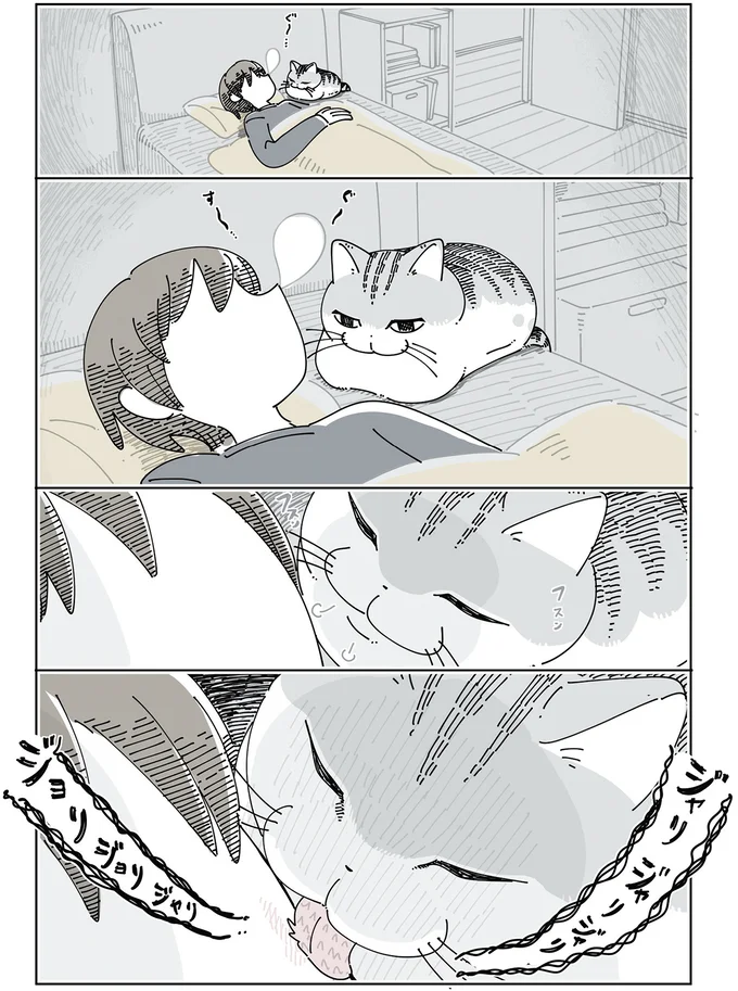 『夜は猫といっしょ』4～6 15971217.webp