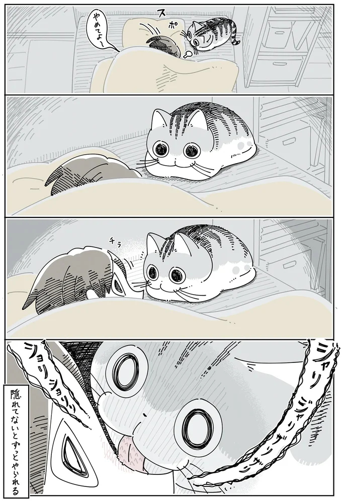 『夜は猫といっしょ』4～6 15971218.webp