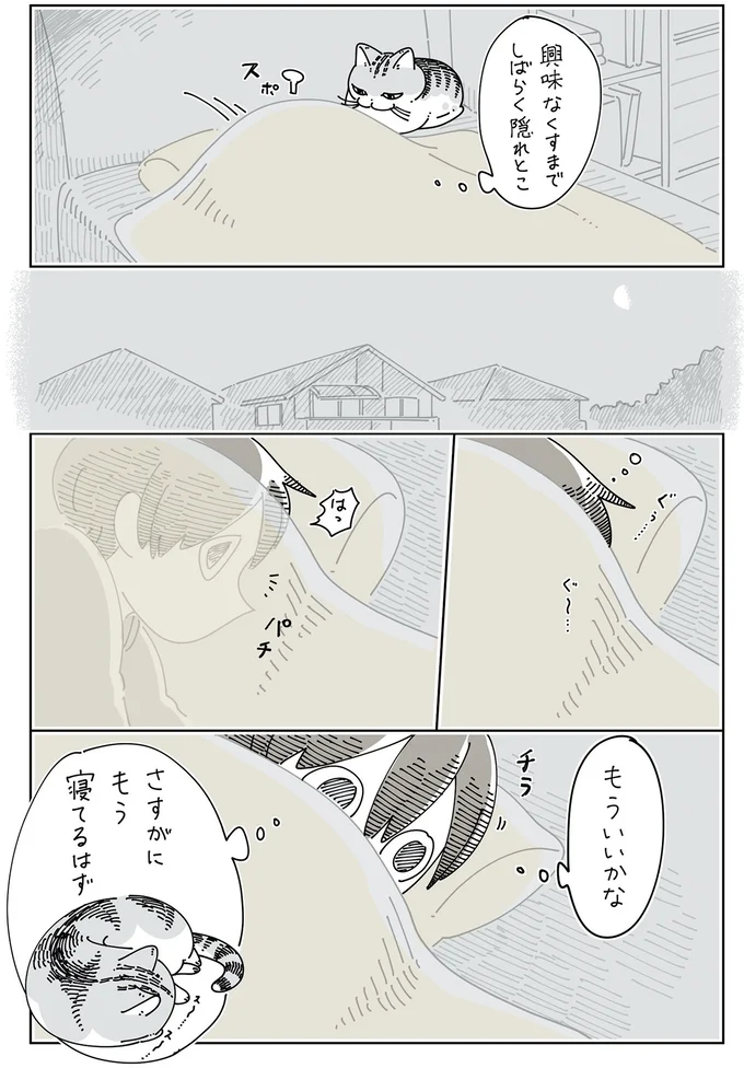 『夜は猫といっしょ』4～6 15971219.webp