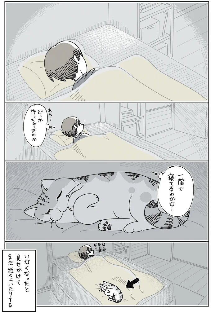 『夜は猫といっしょ』4～6 15971220.webp
