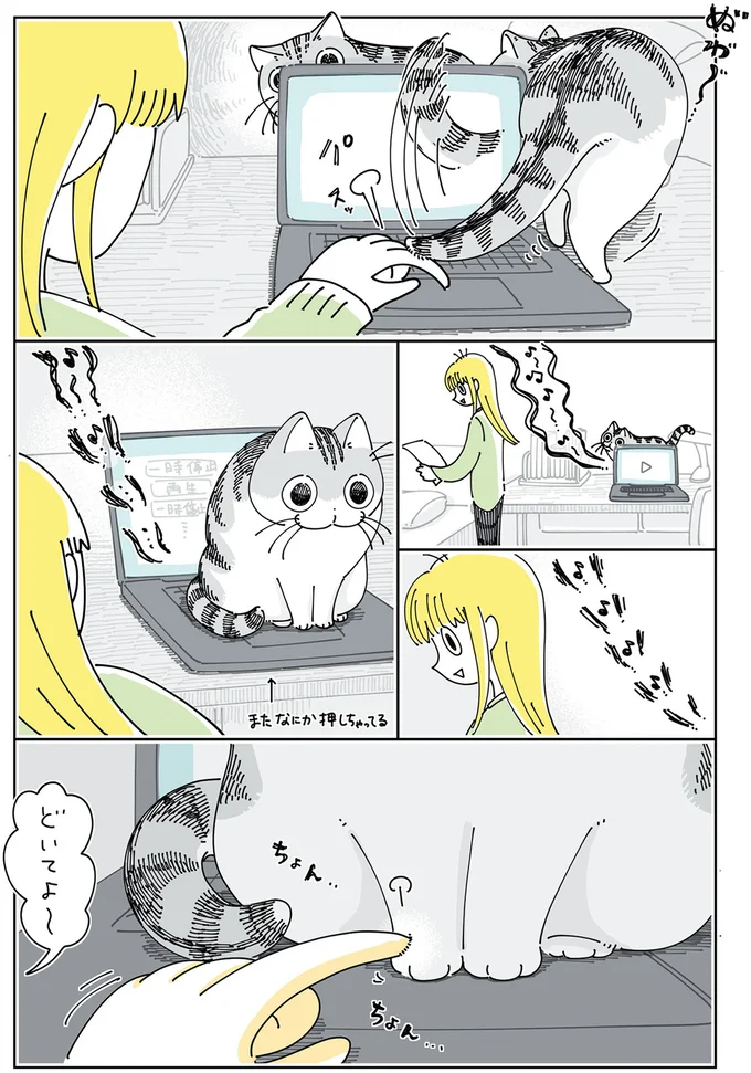 『夜は猫といっしょ』4～6 15971230.webp