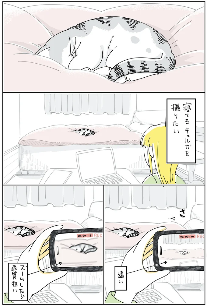 『夜は猫といっしょ』4～6 15971264.webp