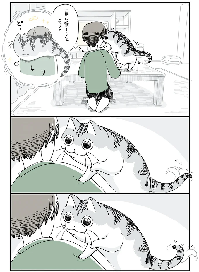 『夜は猫といっしょ』4～6 15971286.webp