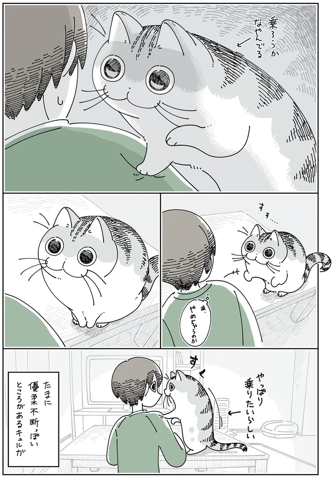 『夜は猫といっしょ』4～6 15971287.webp