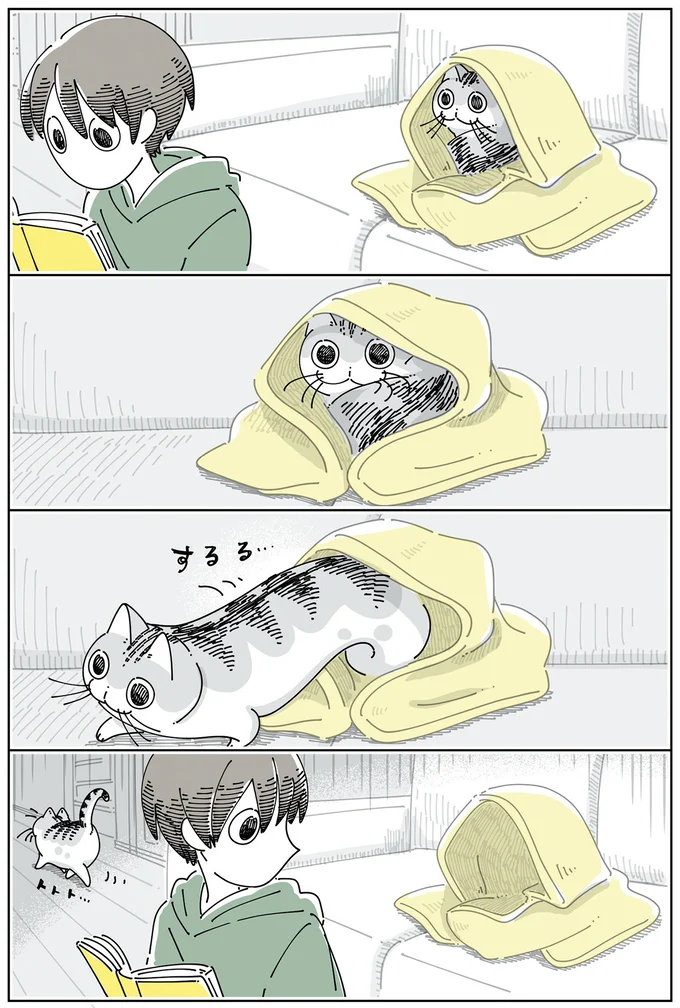 『夜は猫といっしょ』4～6 15971496.webp