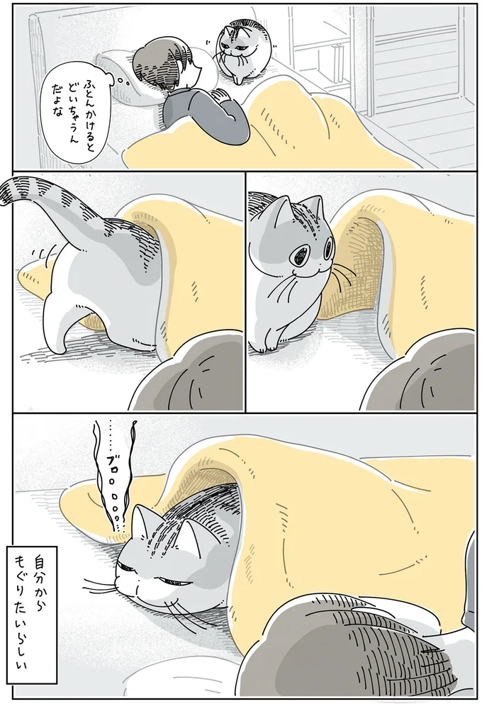 『夜は猫といっしょ』4～6 15971498.webp