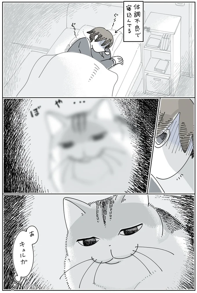 『夜は猫といっしょ』4～6 15971529.webp