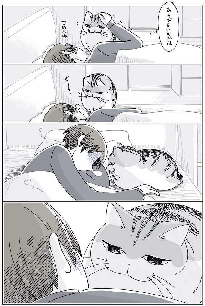 『夜は猫といっしょ』4～6 15971530.webp